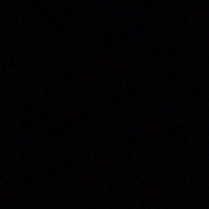 Two Z Supply T-shirts